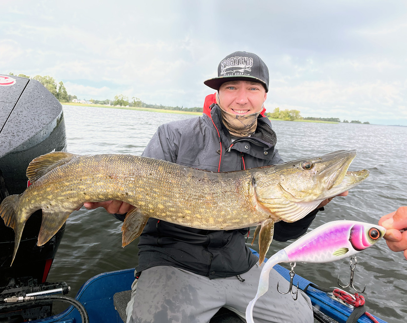 Meiho Betesbox, Justerbara Fack, 356x230x50mm - Clear